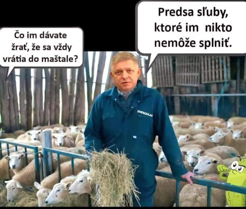 Čím  kŕmiť stádo?